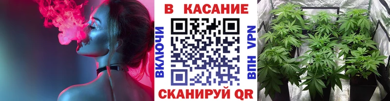 Где найти наркотики Новодвинск Гашиш  МАРИХУАНА  COCAIN  СОЛЬ  MEGA онион  МЕФ 
