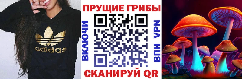 Псилоцибиновые грибы GOLDEN TEACHER  omg как войти  Новодвинск 