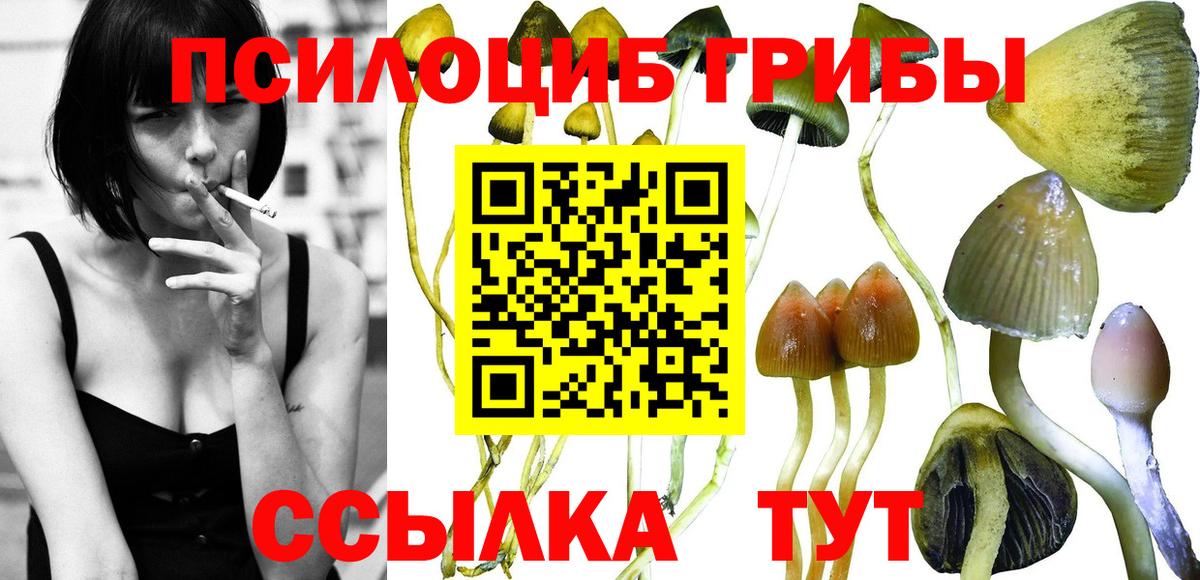 Псилоцибиновые грибы ЛСД Новодвинск