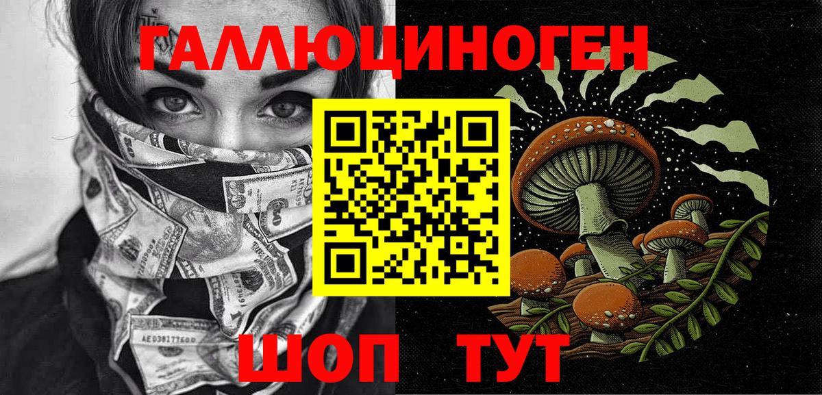 Галлюциногенные грибы мицелий  Псилоцибиновые грибы GOLDEN TEACHER  Вход с VPN  Новодвинск 