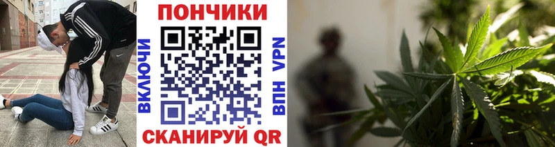 Конопля конопля  мега сайт  Новодвинск 